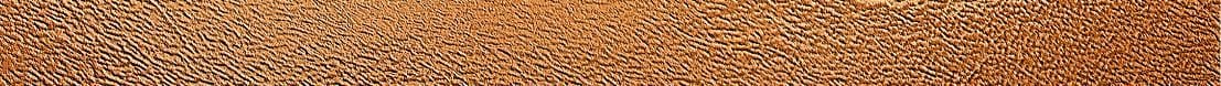 Wood grain texture close-up