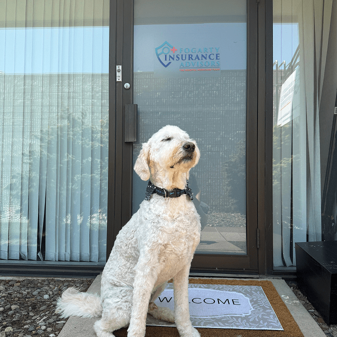 White dog sitting on welcome mat outside door